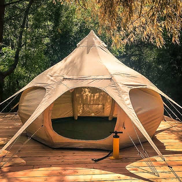 Lotus Air Bud - Lotus Belle Canada